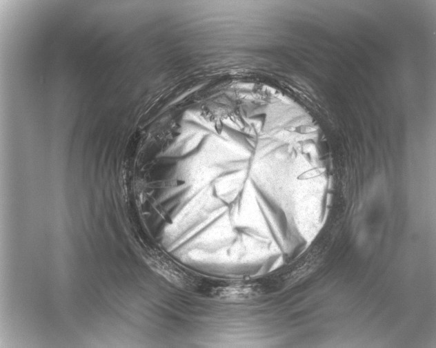 X0000053010366200508051206