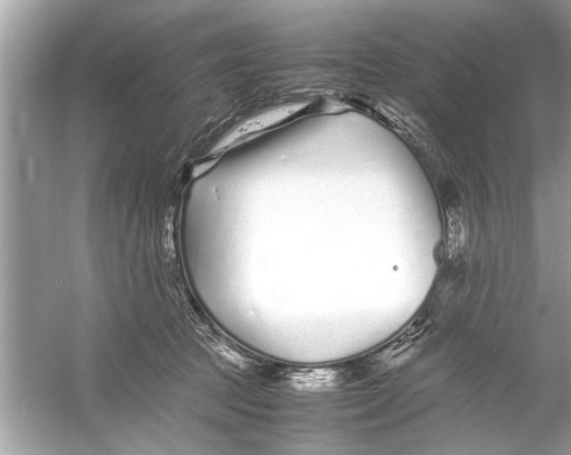 X0000053010369200508051206