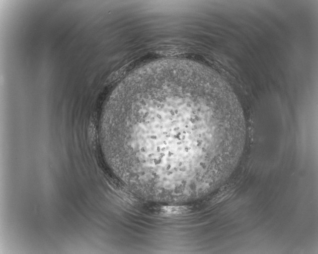 X0000053010371200508051206