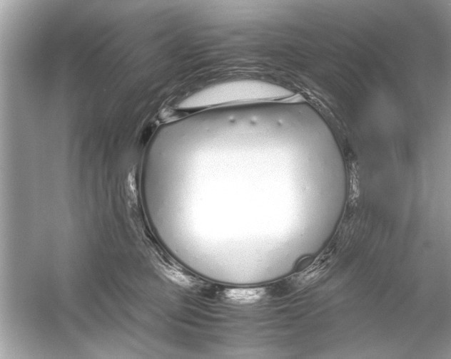 X0000053010373200508051207