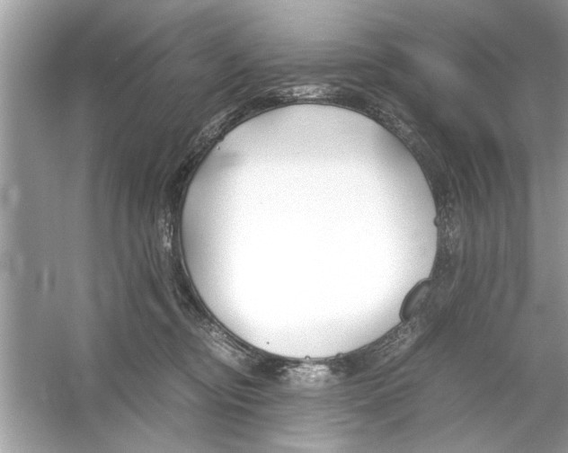 X0000053010374200508051207