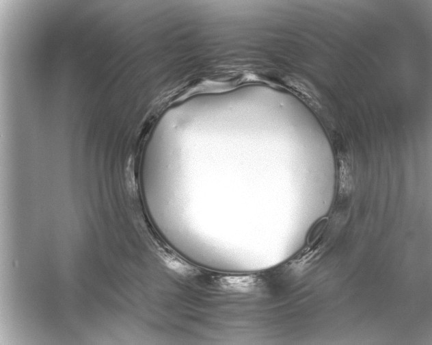 X0000053010377200508051207