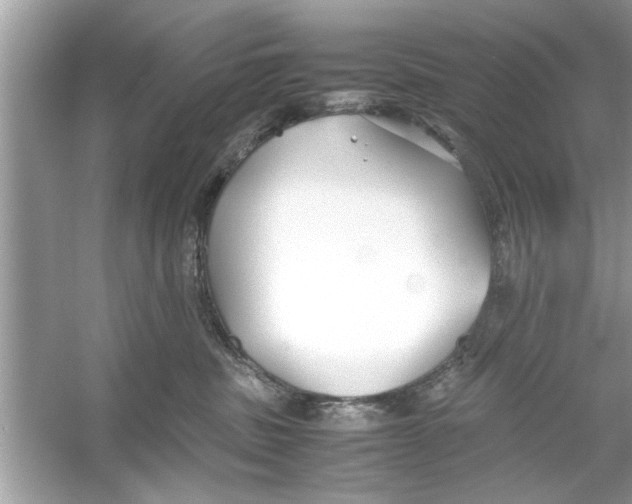 X0000053010379200508051207