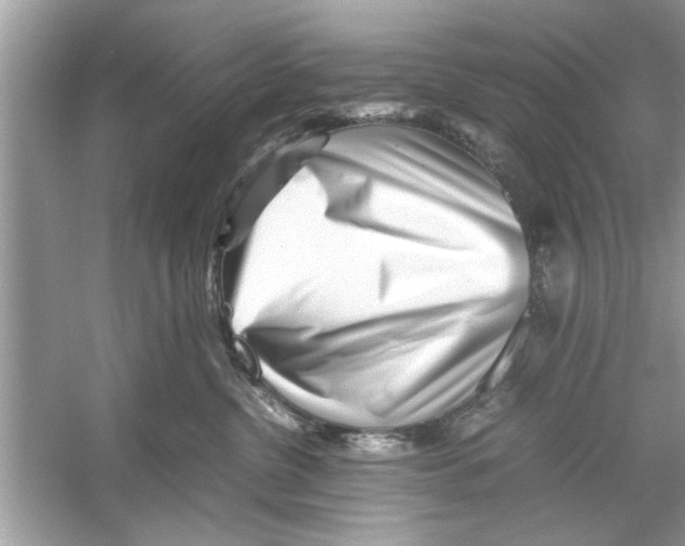 X0000053010380200508051207