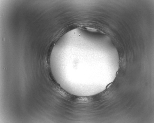 X0000053010381200508051207