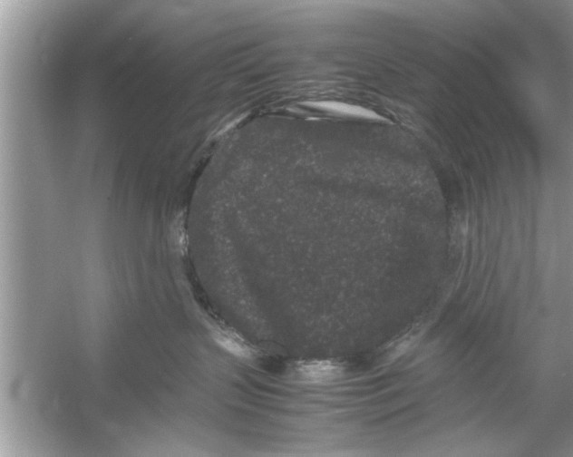 X0000053010383200508051207