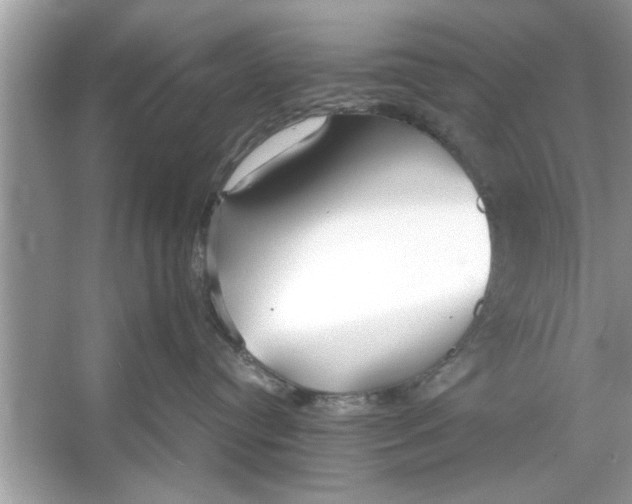 X0000053010384200508051207