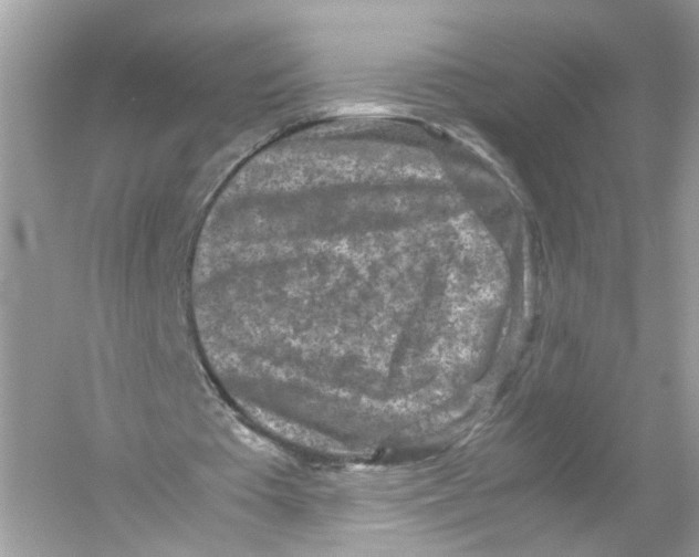 X0000053010385200508051206