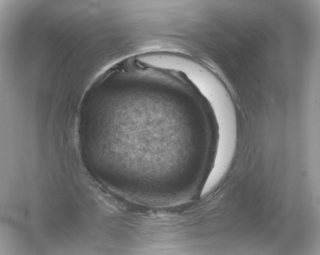 X0000053010387200508051206