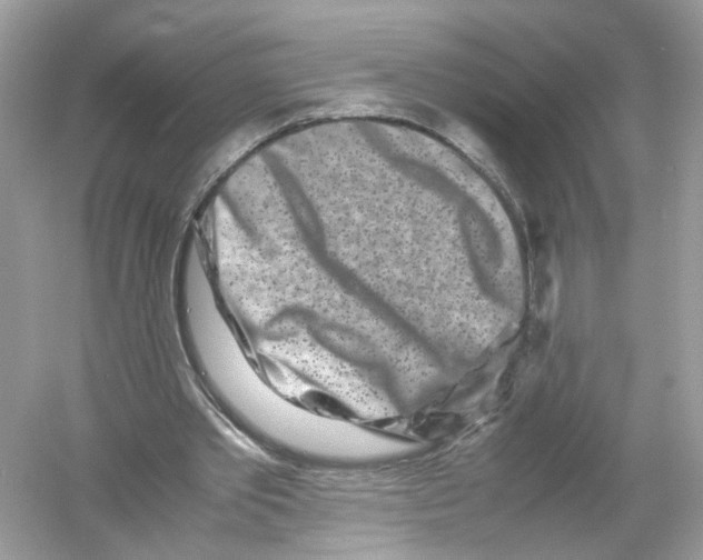 X0000053010389200508051206