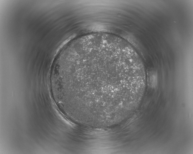 X0000053010390200508051206