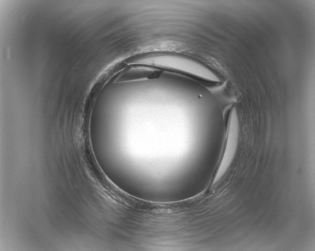 X0000053010392200508051206