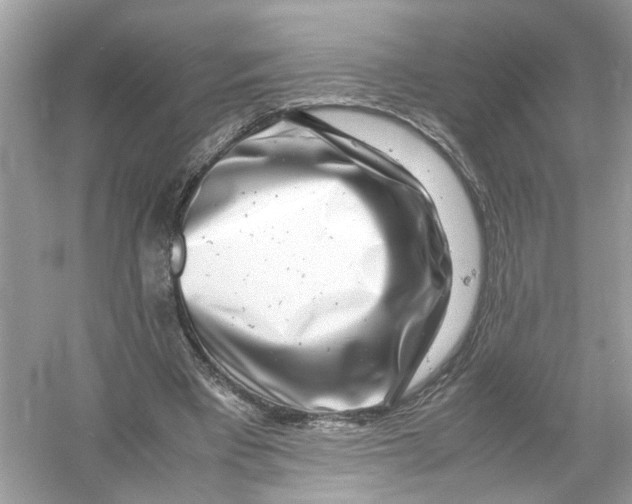 X0000053010393200508051206