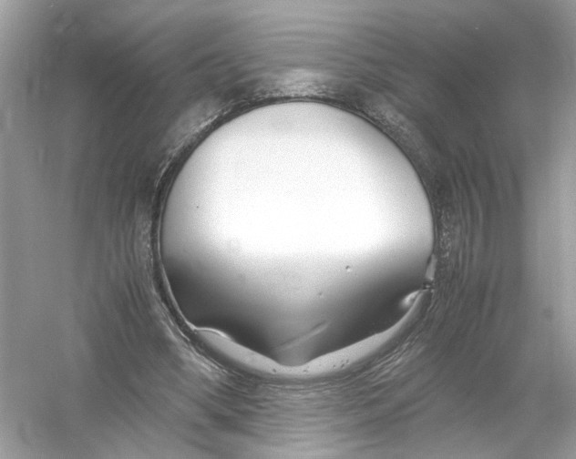 X0000053010394200508051206