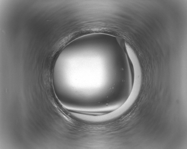 X0000053010397200508051206