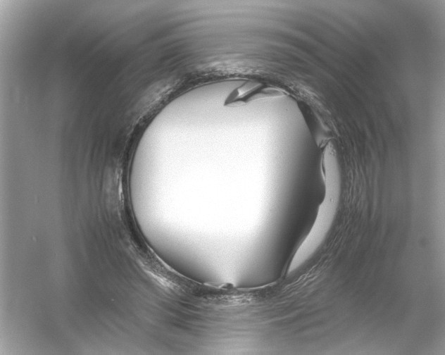 X0000053010398200508051206