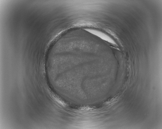 X0000053010399200508051206