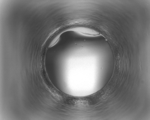 X0000053010400200508051206