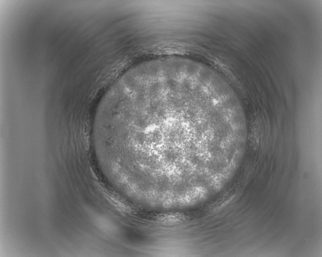 X0000053010402200508051206