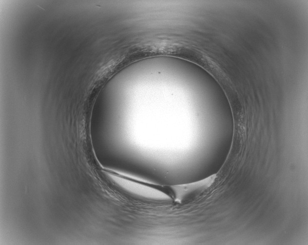 X0000053010403200508051206