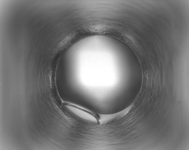 X0000053010404200508051206