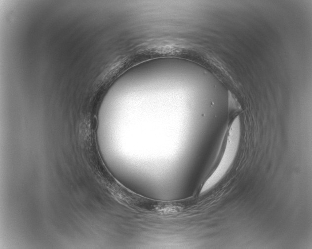 X0000053010407200508051205