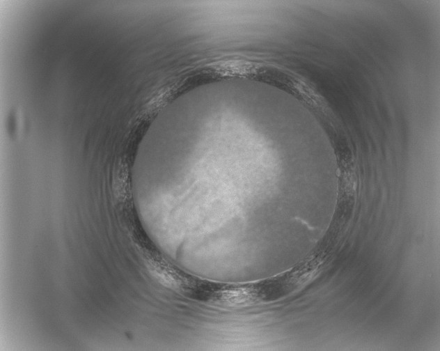 X0000053010411200508051205