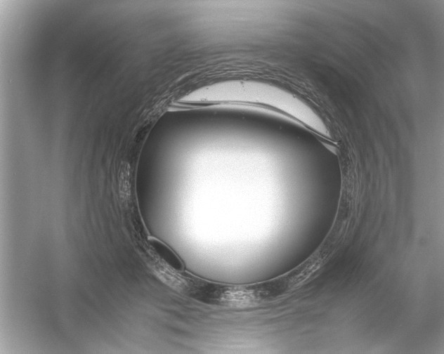 X0000053010413200508051205