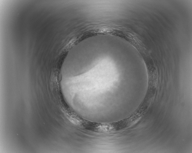 X0000053010415200508051205