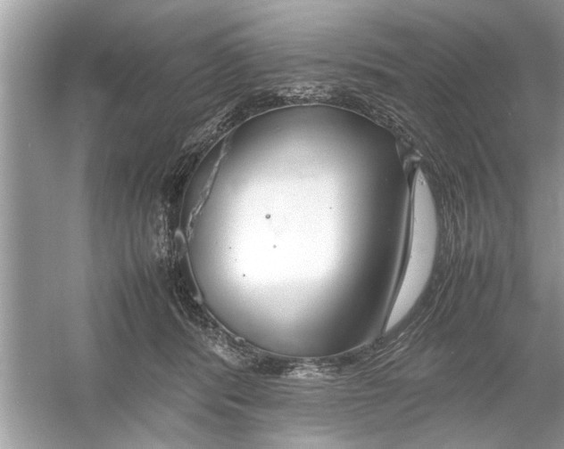 X0000053010416200508051205