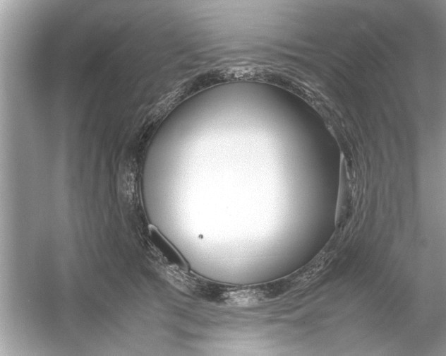 X0000053010417200508051205