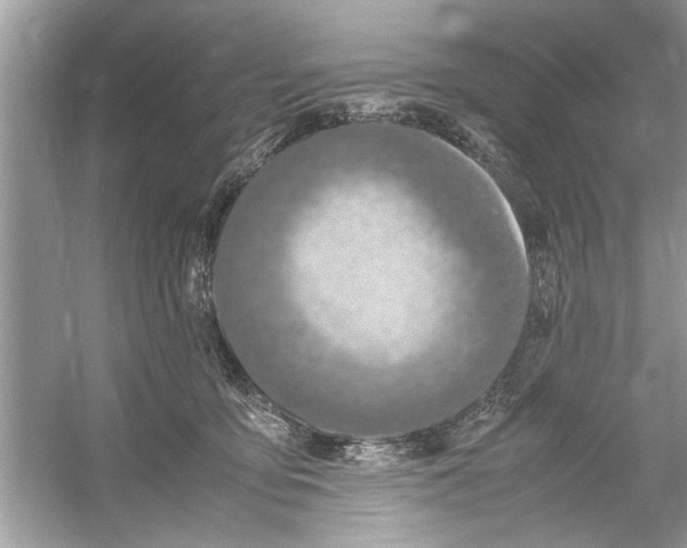 X0000053010419200508051205