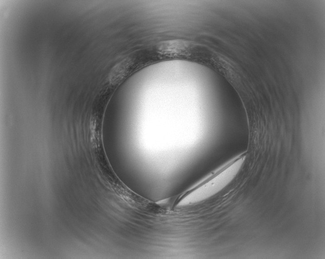 X0000053010420200508051205