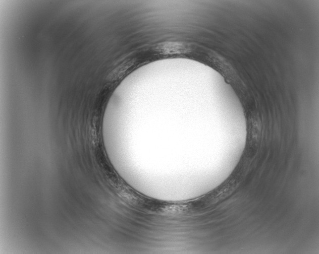 X0000053010422200508051205