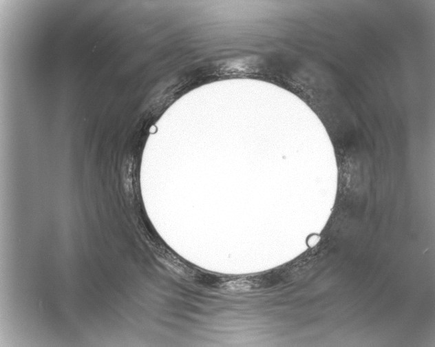 X0000053010423200508051205