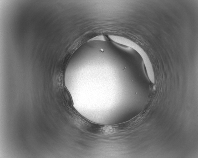 X0000053010425200508051205