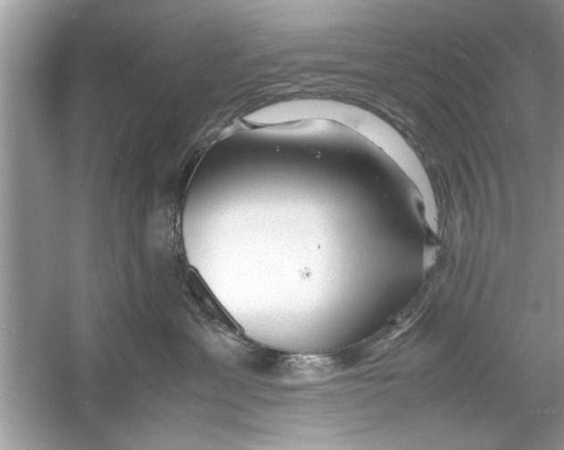 X0000053010429200508051205