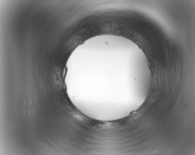 X0000053010430200508051205