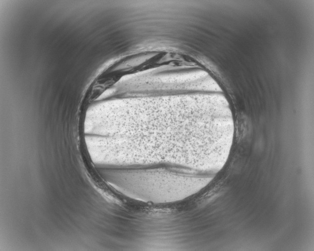 X0000053010438200508051204