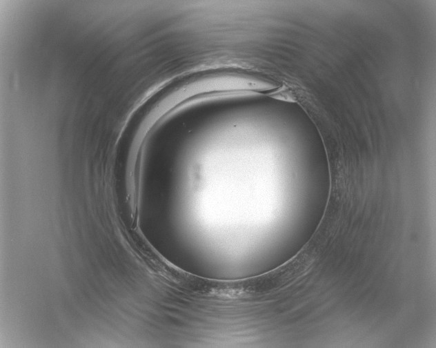 X0000053010440200508051204