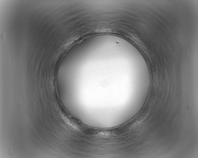 X0000053010441200508051204