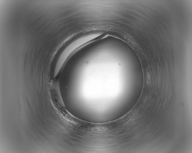 X0000053010444200508051204