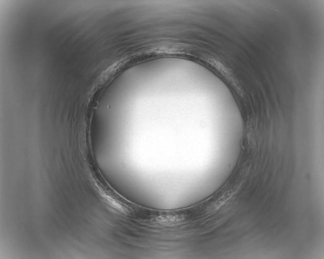 X0000053010445200508051204