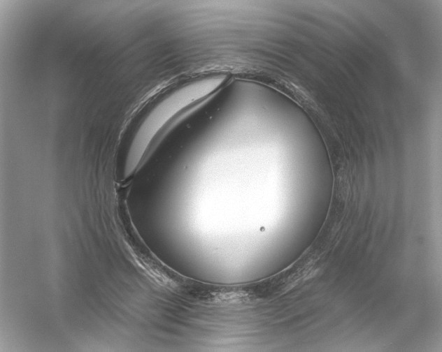 X0000053010446200508051204