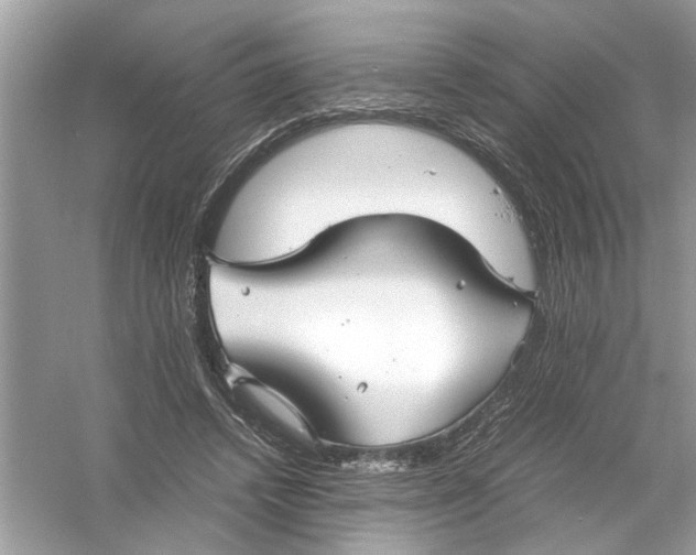 X0000053010448200508051205