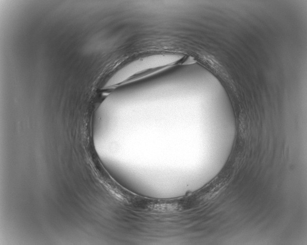 X0000053010449200508051205