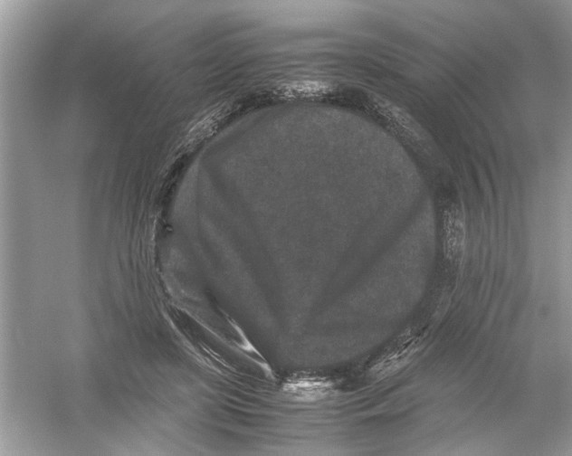 X0000053010451200508051205