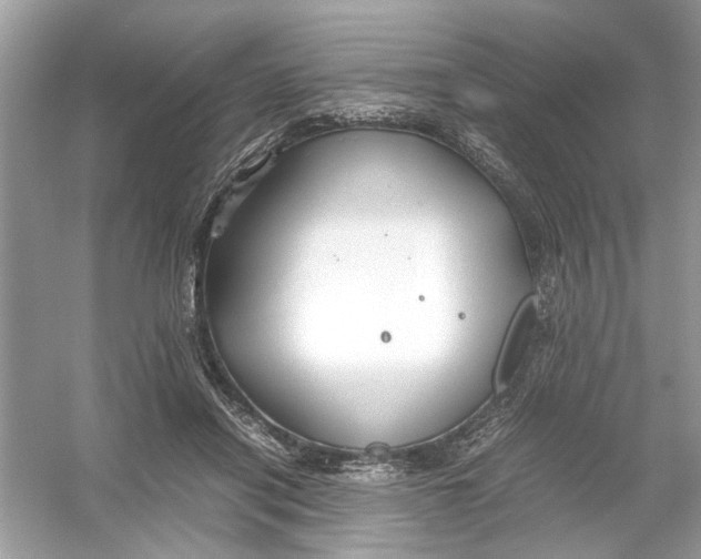 X0000053010454200508051205