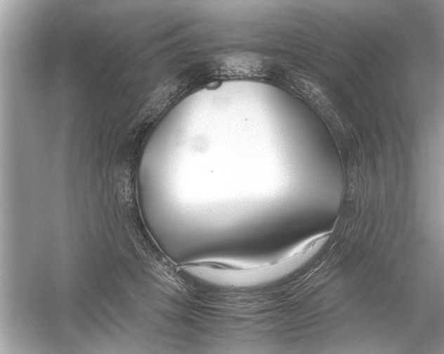 X0000053010457200508051205