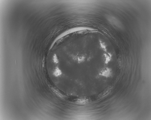 X0000053010458200508051205